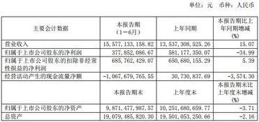 物聯(lián)網(wǎng)市場全景掃描 十家上市公司半年報(bào)數(shù)據(jù)深度解析與應(yīng)用服務(wù)趨勢洞察